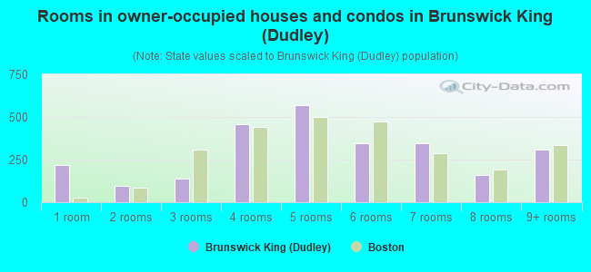 Rooms in owner-occupied houses and condos in Brunswick King (Dudley)