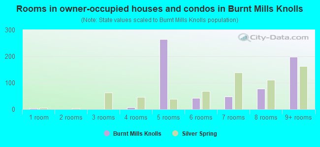 Rooms in owner-occupied houses and condos in Burnt Mills Knolls