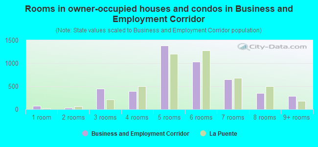 Rooms in owner-occupied houses and condos in Business and Employment Corridor