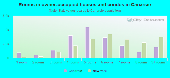 Rooms in owner-occupied houses and condos in Canarsie