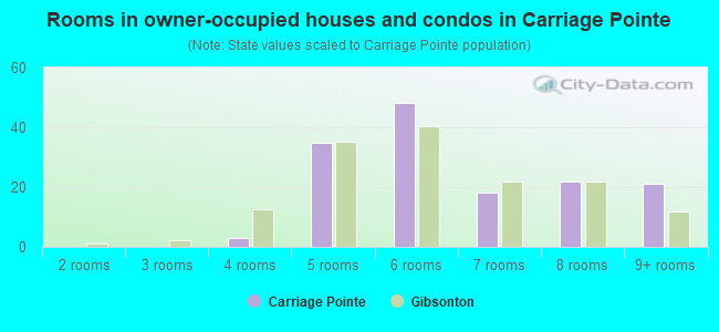 Rooms in owner-occupied houses and condos in Carriage Pointe