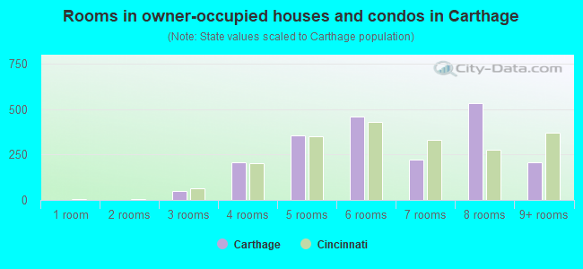 Rooms in owner-occupied houses and condos in Carthage