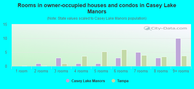 Rooms in owner-occupied houses and condos in Casey Lake Manors