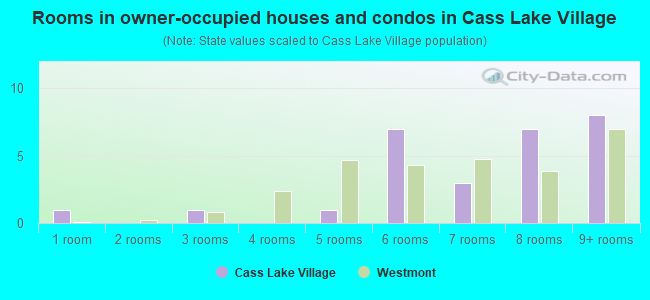 Rooms in owner-occupied houses and condos in Cass Lake Village
