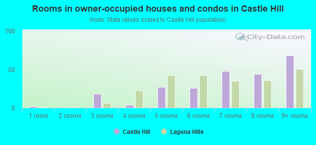 Rooms in owner-occupied houses and condos in Castle Hill