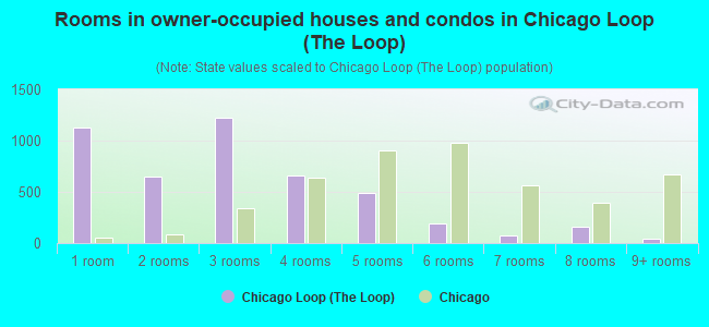 Rooms in owner-occupied houses and condos in Chicago Loop (The Loop)