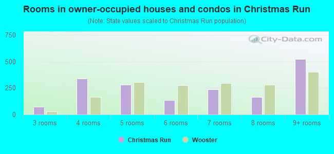 Rooms in owner-occupied houses and condos in Christmas Run