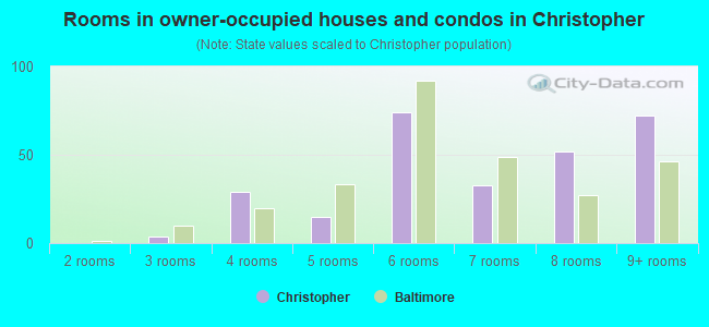 Rooms in owner-occupied houses and condos in Christopher