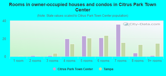 Rooms in owner-occupied houses and condos in Citrus Park Town Center