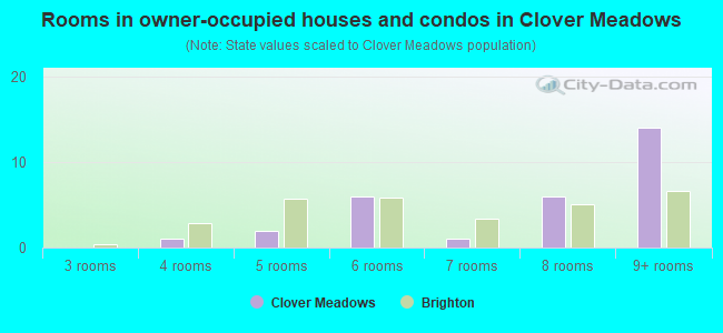 Rooms in owner-occupied houses and condos in Clover Meadows