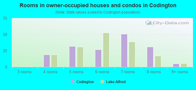 Rooms in owner-occupied houses and condos in Codington