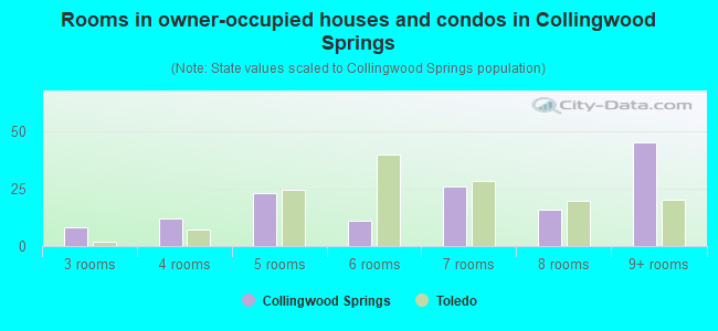 Rooms in owner-occupied houses and condos in Collingwood Springs