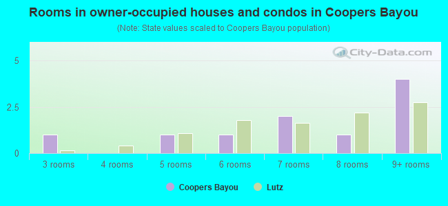 Rooms in owner-occupied houses and condos in Coopers Bayou