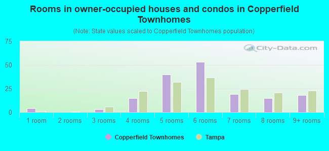 Rooms in owner-occupied houses and condos in Copperfield Townhomes