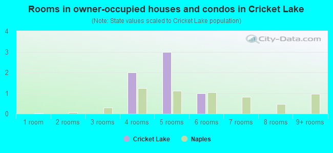 Rooms in owner-occupied houses and condos in Cricket Lake