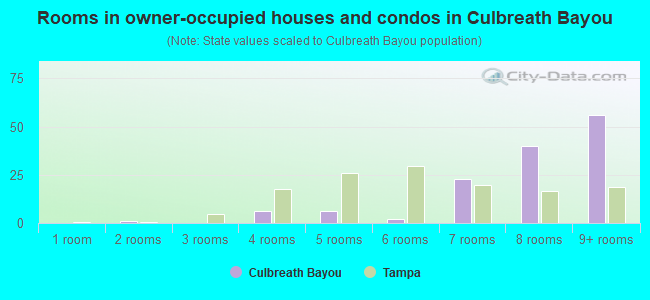 Rooms in owner-occupied houses and condos in Culbreath Bayou