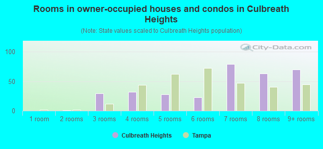 Rooms in owner-occupied houses and condos in Culbreath Heights