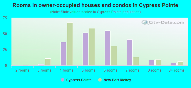 Rooms in owner-occupied houses and condos in Cypress Pointe