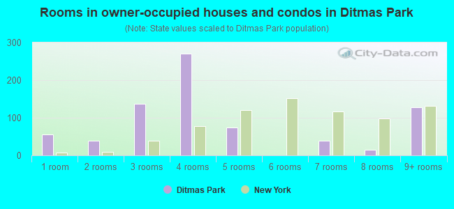 Rooms in owner-occupied houses and condos in Ditmas Park