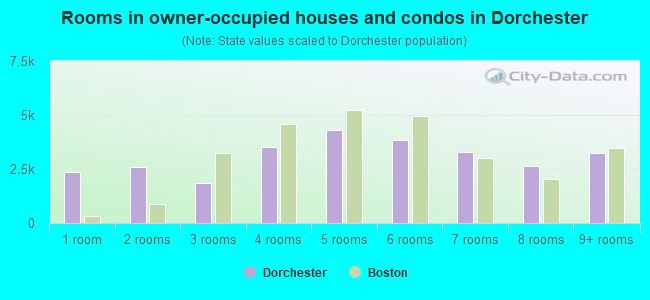 Rooms in owner-occupied houses and condos in Dorchester