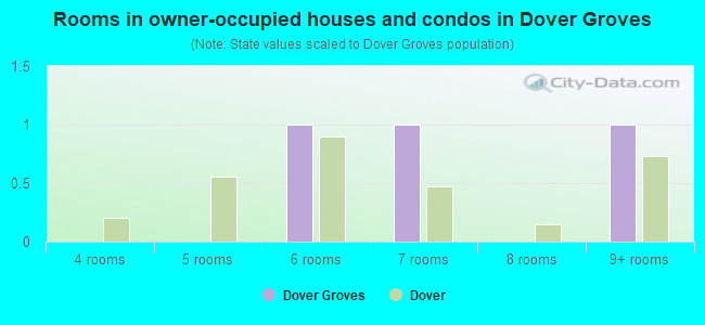 Rooms in owner-occupied houses and condos in Dover Groves