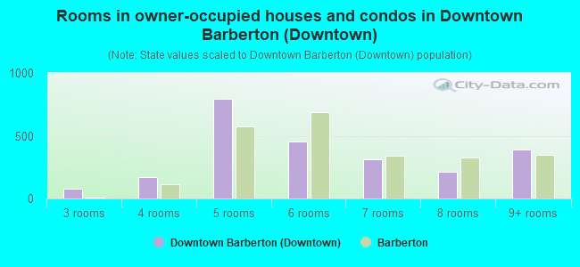 Rooms in owner-occupied houses and condos in Downtown Barberton (Downtown)