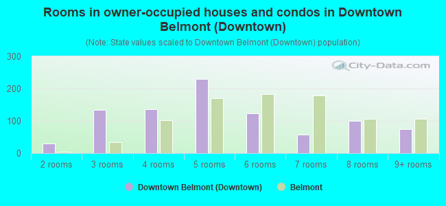 Rooms in owner-occupied houses and condos in Downtown Belmont (Downtown)