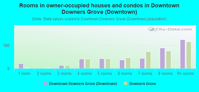 Rooms in owner-occupied houses and condos in Downtown Downers Grove (Downtown)