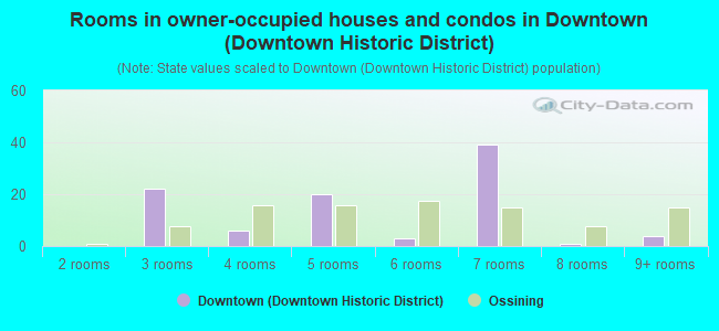Rooms in owner-occupied houses and condos in Downtown (Downtown Historic District)