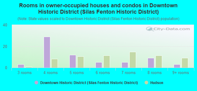 Rooms in owner-occupied houses and condos in Downtown Historic District (Silas Fenton Historic District)