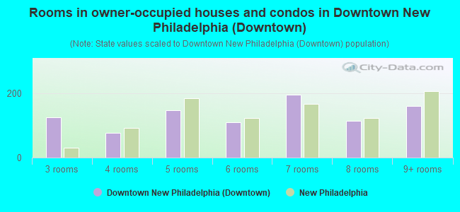 Rooms in owner-occupied houses and condos in Downtown New Philadelphia (Downtown)