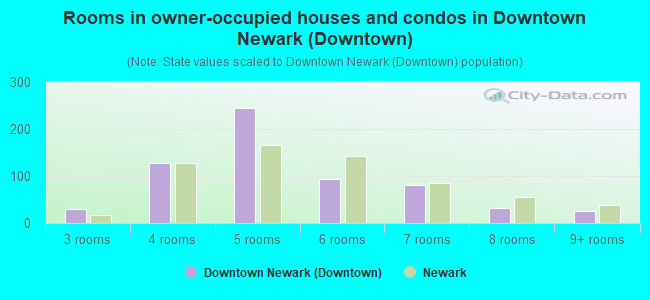 Rooms in owner-occupied houses and condos in Downtown Newark (Downtown)