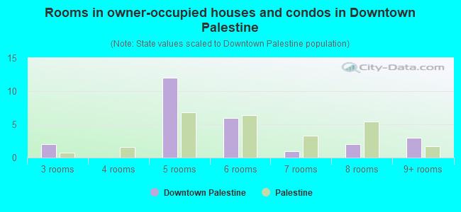 Rooms in owner-occupied houses and condos in Downtown Palestine