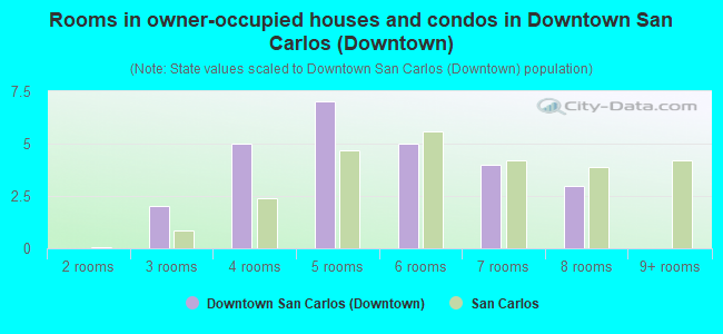 Rooms in owner-occupied houses and condos in Downtown San Carlos (Downtown)