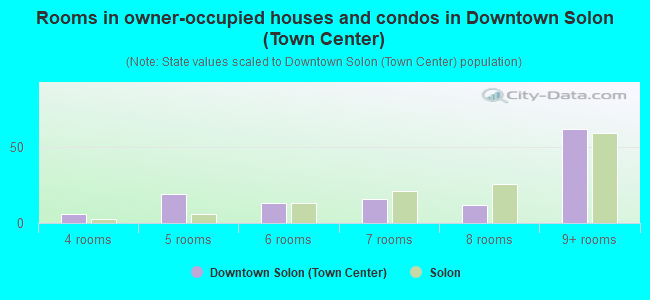 Rooms in owner-occupied houses and condos in Downtown Solon (Town Center)