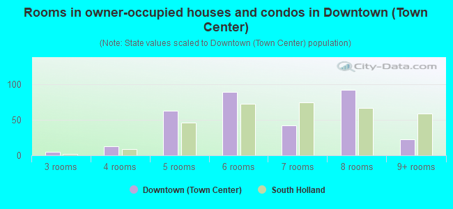 Rooms in owner-occupied houses and condos in Downtown (Town Center)