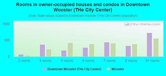 Rooms in owner-occupied houses and condos in Downtown Wooster (THe City Center)