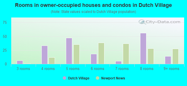 Rooms in owner-occupied houses and condos in Dutch Village