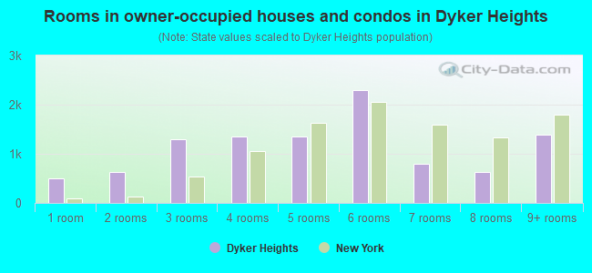 Rooms in owner-occupied houses and condos in Dyker Heights