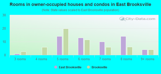 Rooms in owner-occupied houses and condos in East Brooksville