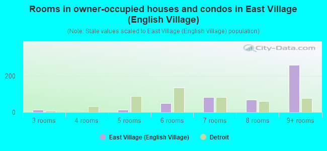 Rooms in owner-occupied houses and condos in East Village (English Village)