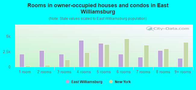 Rooms in owner-occupied houses and condos in East Williamsburg