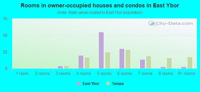 Rooms in owner-occupied houses and condos in East Ybor