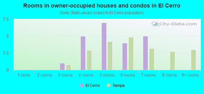 Rooms in owner-occupied houses and condos in El Cerro
