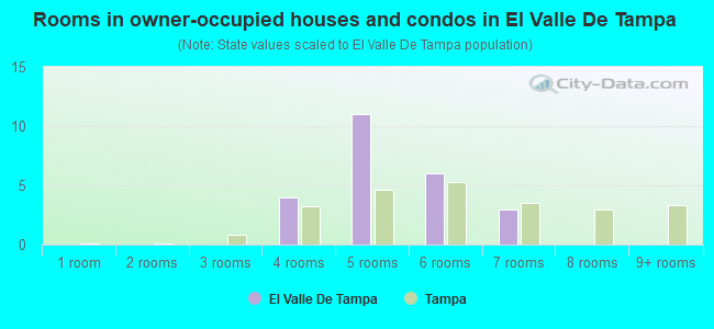 Rooms in owner-occupied houses and condos in El Valle De Tampa