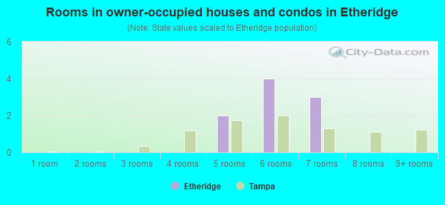 Rooms in owner-occupied houses and condos in Etheridge