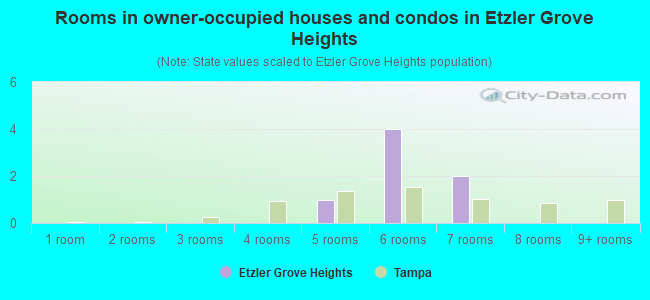 Rooms in owner-occupied houses and condos in Etzler Grove Heights