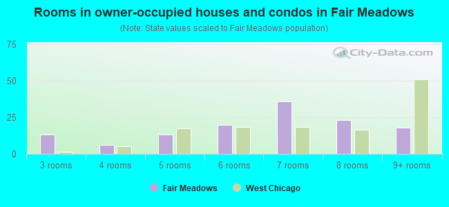 Rooms in owner-occupied houses and condos in Fair Meadows
