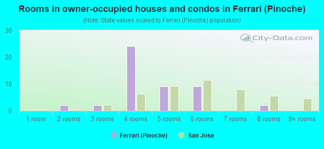Rooms in owner-occupied houses and condos in Ferrari (Pinoche)