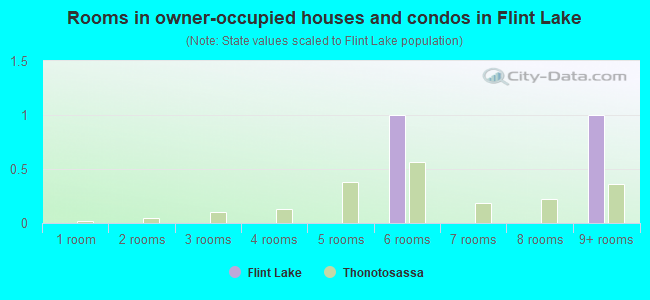 Rooms in owner-occupied houses and condos in Flint Lake